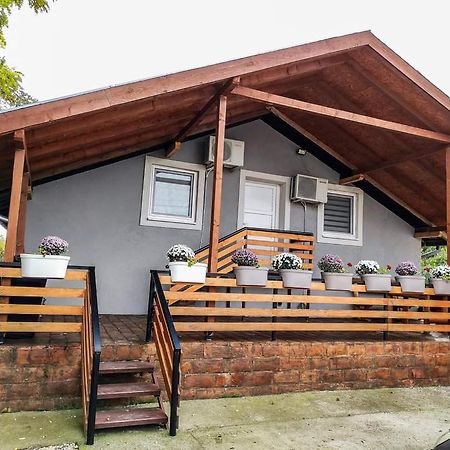 Apartamento S. A. L. Prenociste Zrenjanin Exterior foto